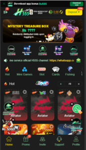 H555 game application icon, designed with a clean, minimalist style for quick identification on mobile devices.