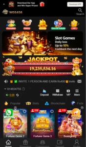 wgs456-game