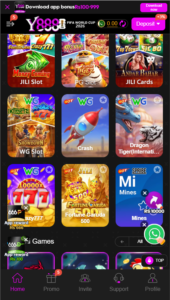 Y333 vs Teen Patti Blue