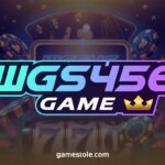 WSG456 Game